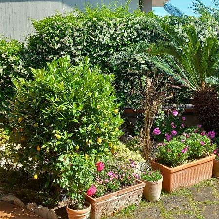 B&B Villa Noemi Formia Luaran gambar