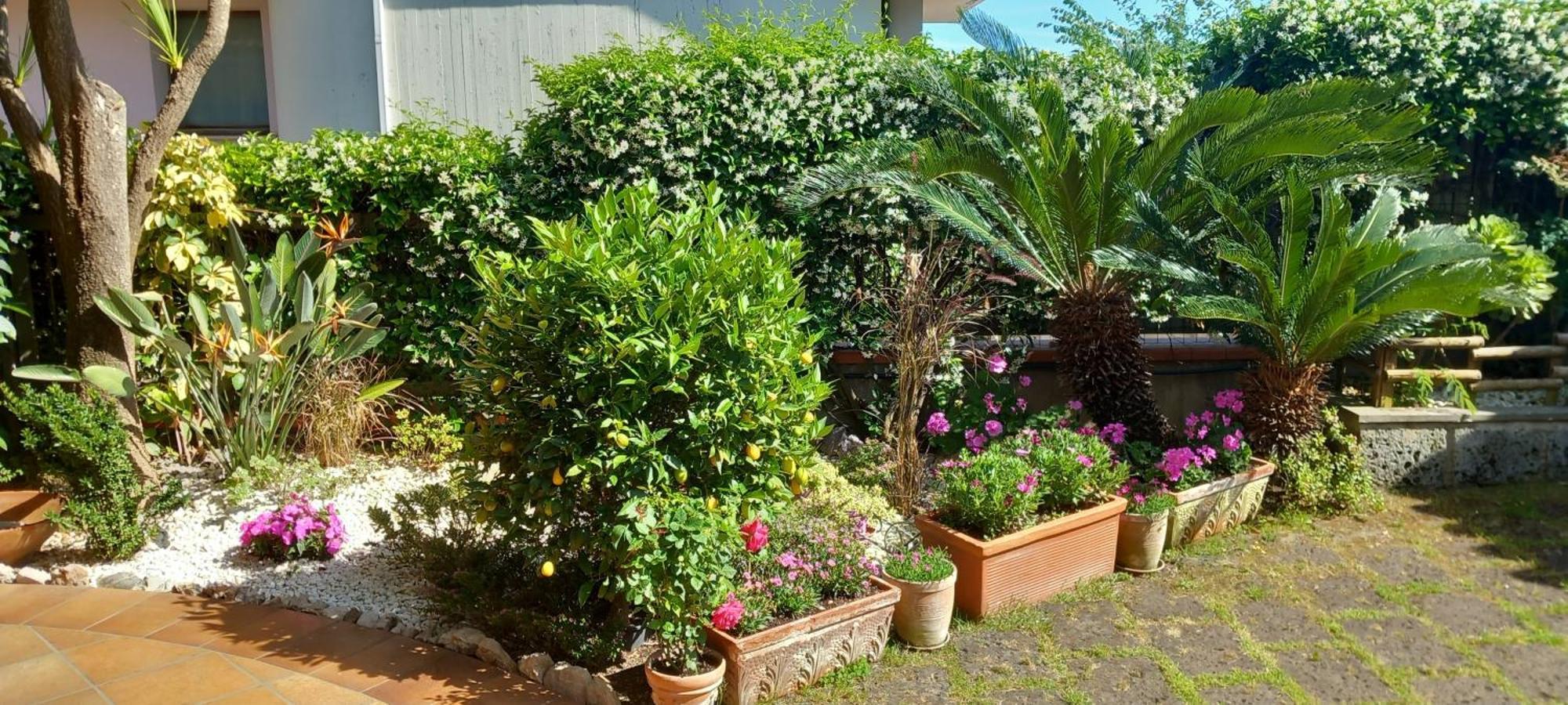 B&B Villa Noemi Formia Luaran gambar